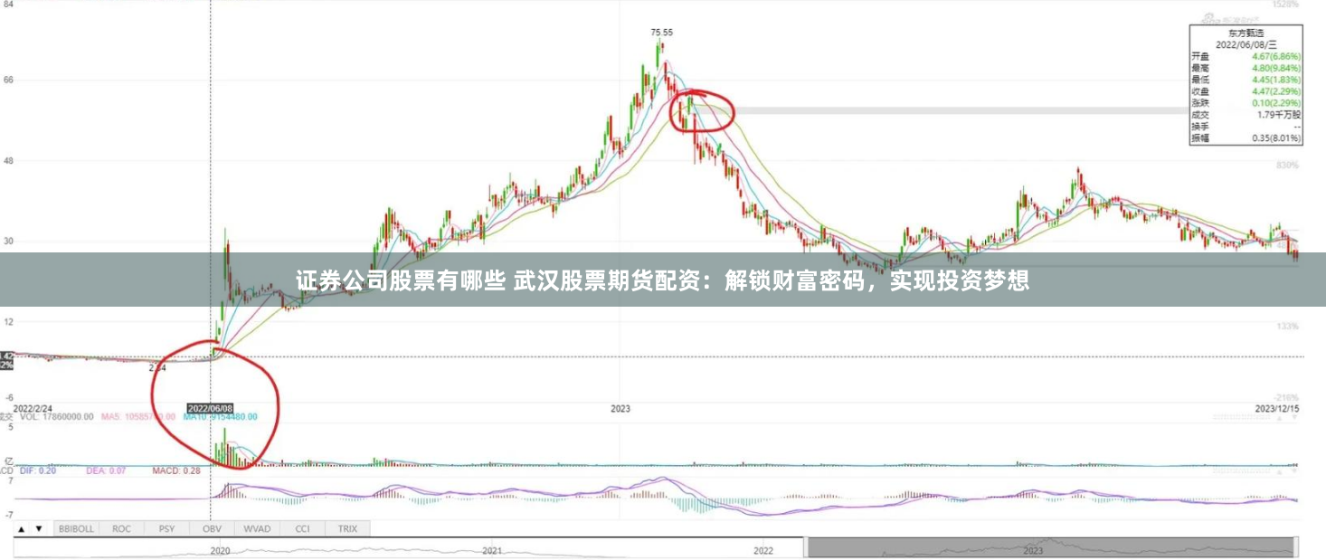 证券公司股票有哪些 武汉股票期货配资：解锁财富密码，实现投资梦想