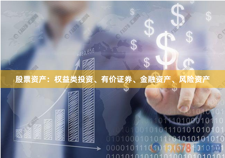 股票资产：权益类投资、有价证券、金融资产、风险资产