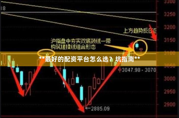 **最好的配资平台怎么选？坑指南**